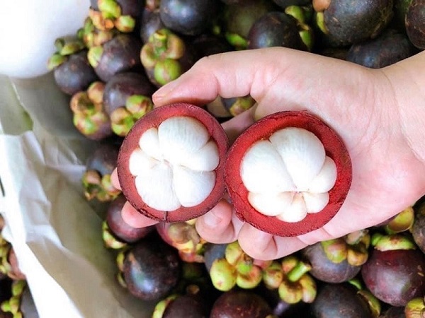 Hóa Chất Đại Việt