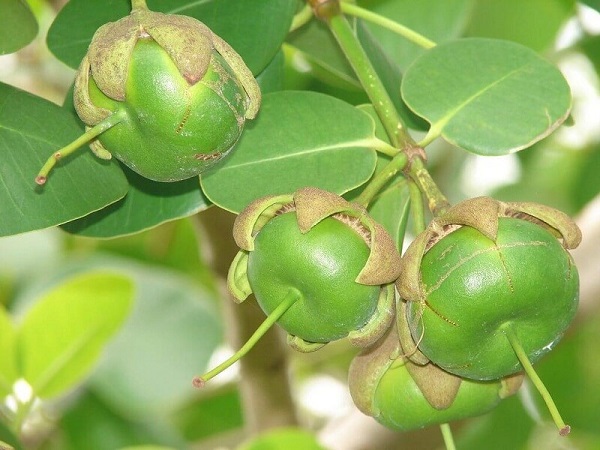Hóa Chất Đại Việt